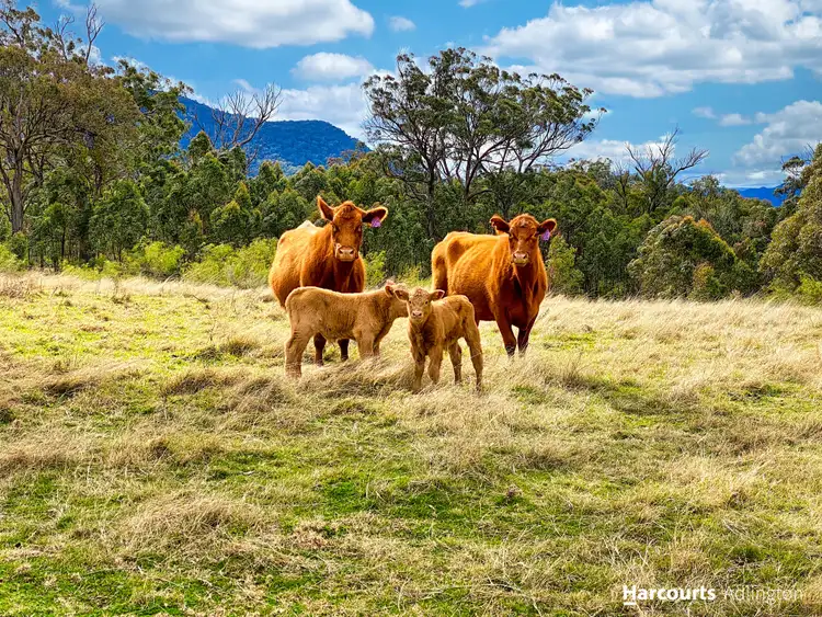 Third view of Homely rural property listing, 1866 Glen Alice Road Rylstone, Rylstone NSW 2849
