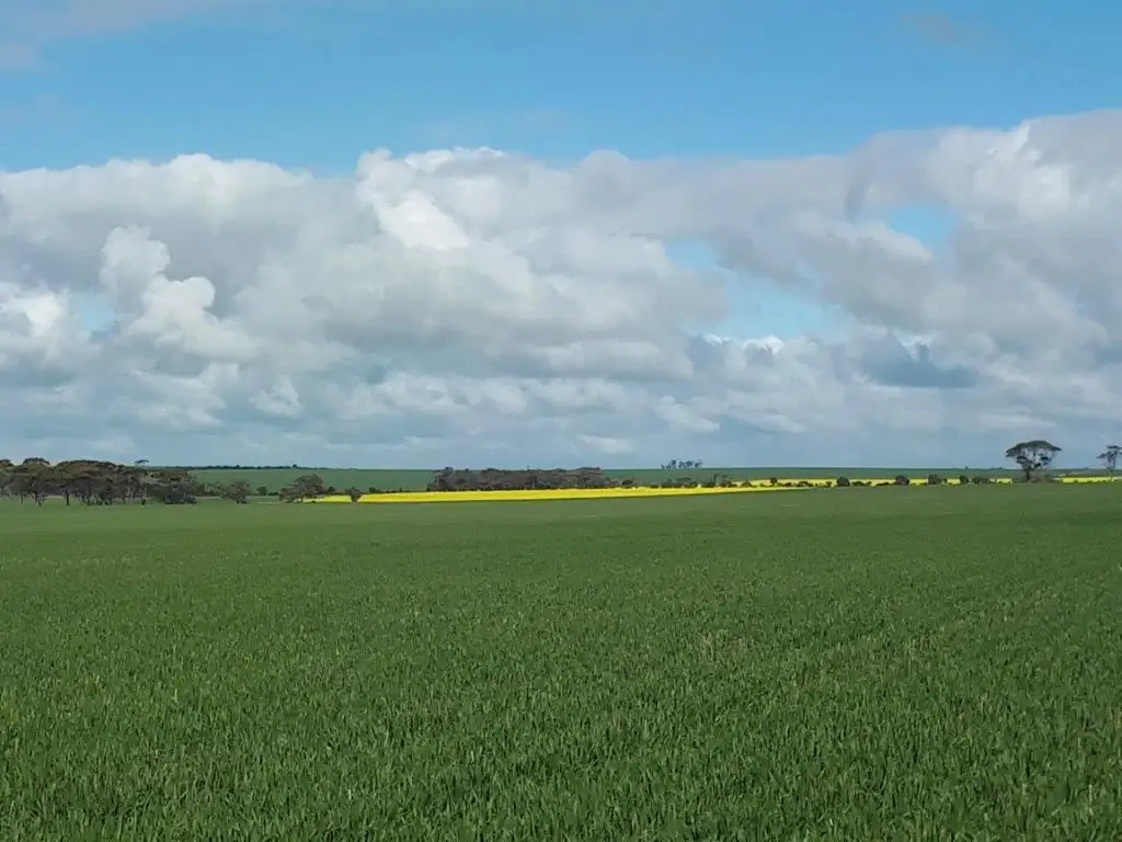 Main view of Homely rural property listing, . Bellrock - Jubuk, Corrigin WA 6375