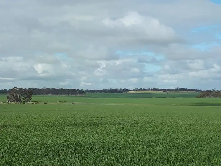 Second view of Homely rural property listing, . Bellrock - Jubuk, Corrigin WA 6375