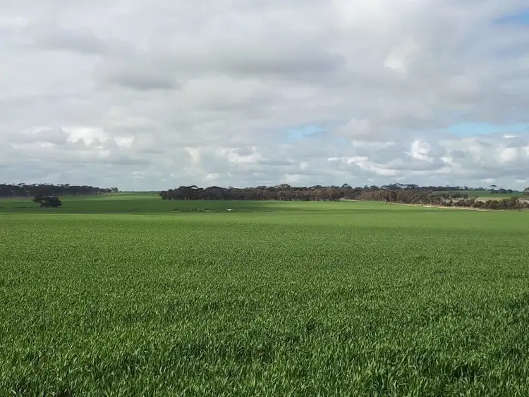 Third view of Homely rural property listing, . Bellrock - Jubuk, Corrigin WA 6375