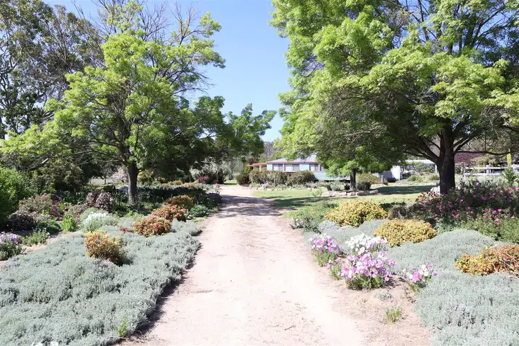 Fourth view of Homely rural property listing, 487 Brushabers Road, Jennings NSW 4383