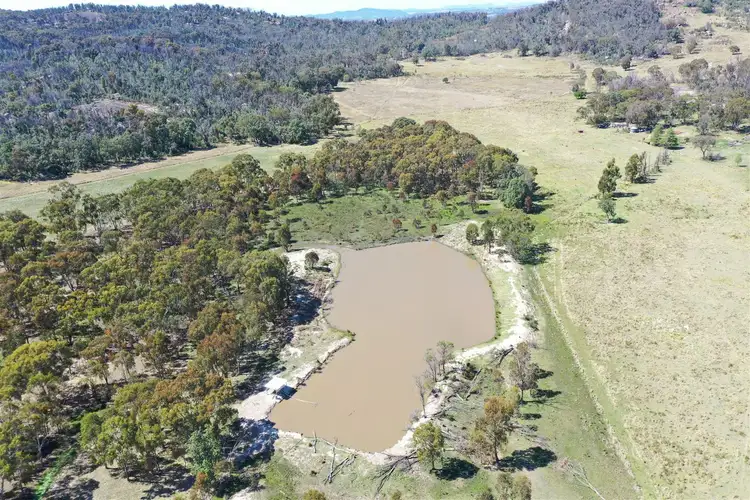 Sixth view of Homely rural property listing, 487 Brushabers Road, Jennings NSW 4383