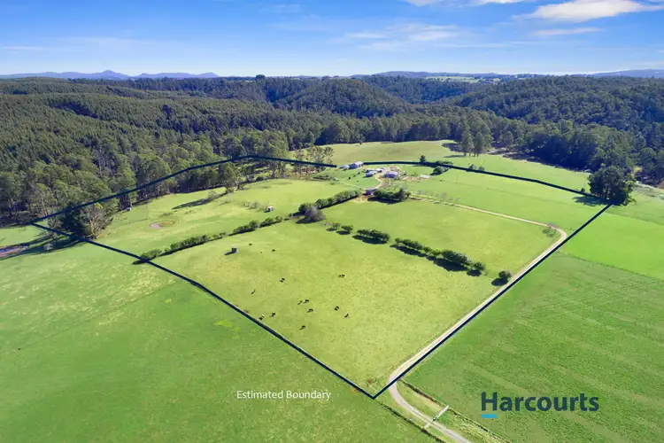 Main view of Homely house listing, 703 West Nook Road, Nook TAS 7306