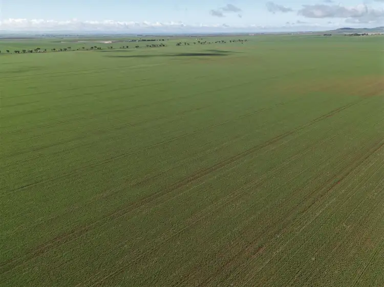 Fourth view of Homely rural property listing, Sec 294 Barunga East Road, Snowtown SA 5520