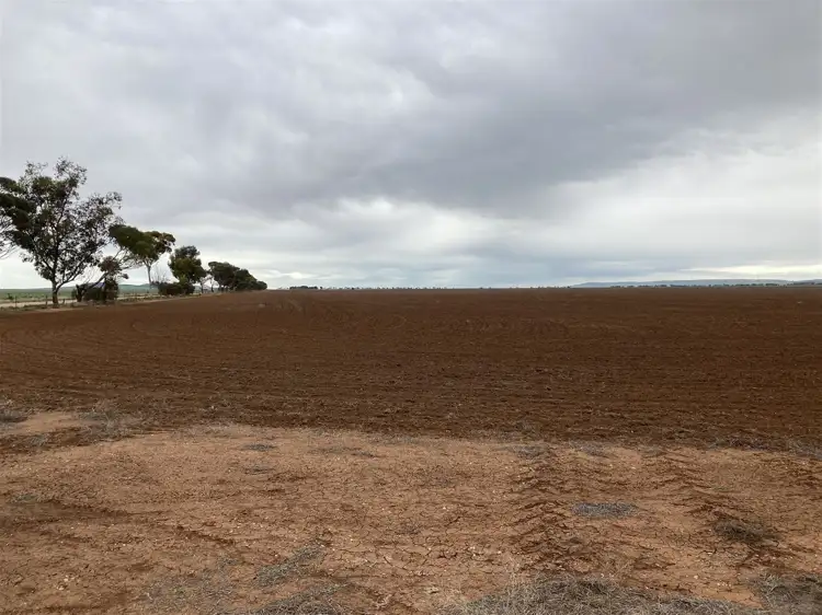 Sixth view of Homely rural property listing, Sec 294 Barunga East Road, Snowtown SA 5520