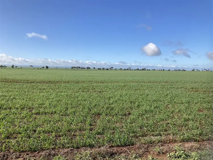Seventh view of Homely rural property listing, Sec 294 Barunga East Road, Snowtown SA 5520