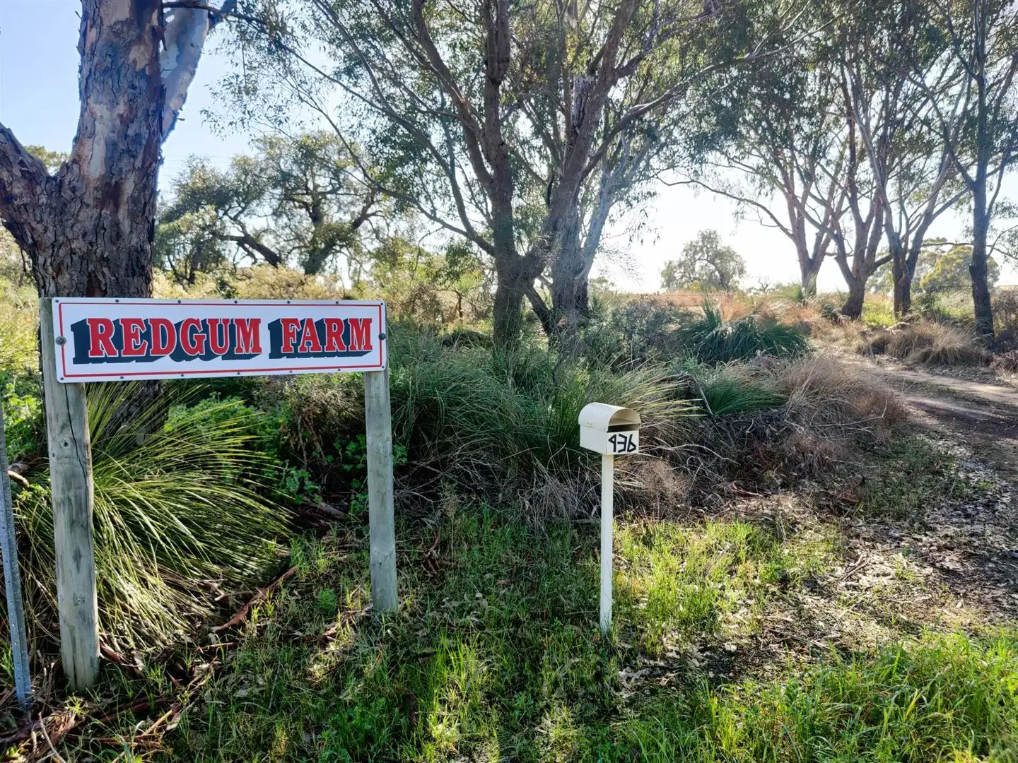 Main view of Homely rural property listing, 936 Cowalla Road, Wanerie WA 6503