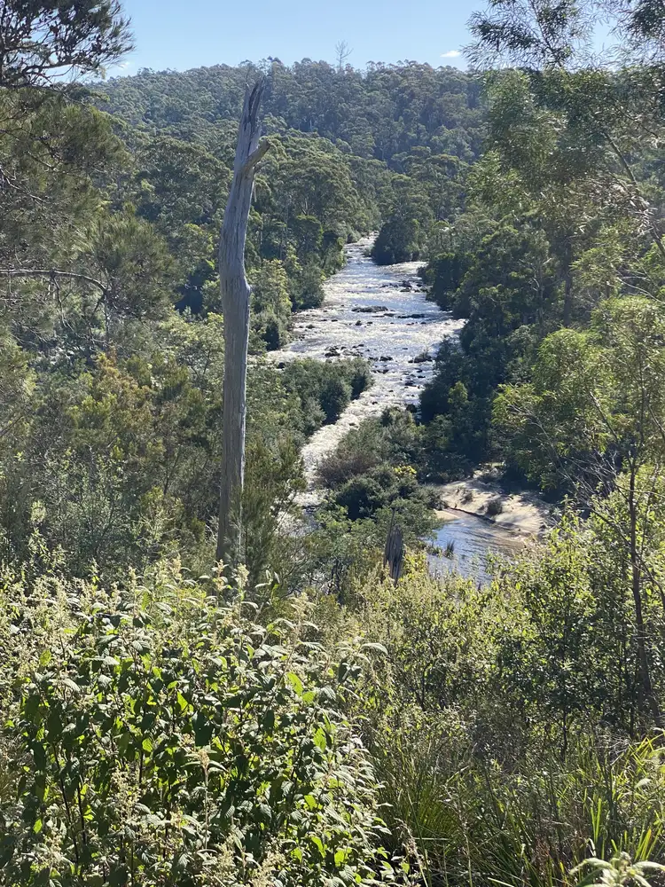 Main view of Homely land listing, 253 Canhams Road, St Helens TAS 7216