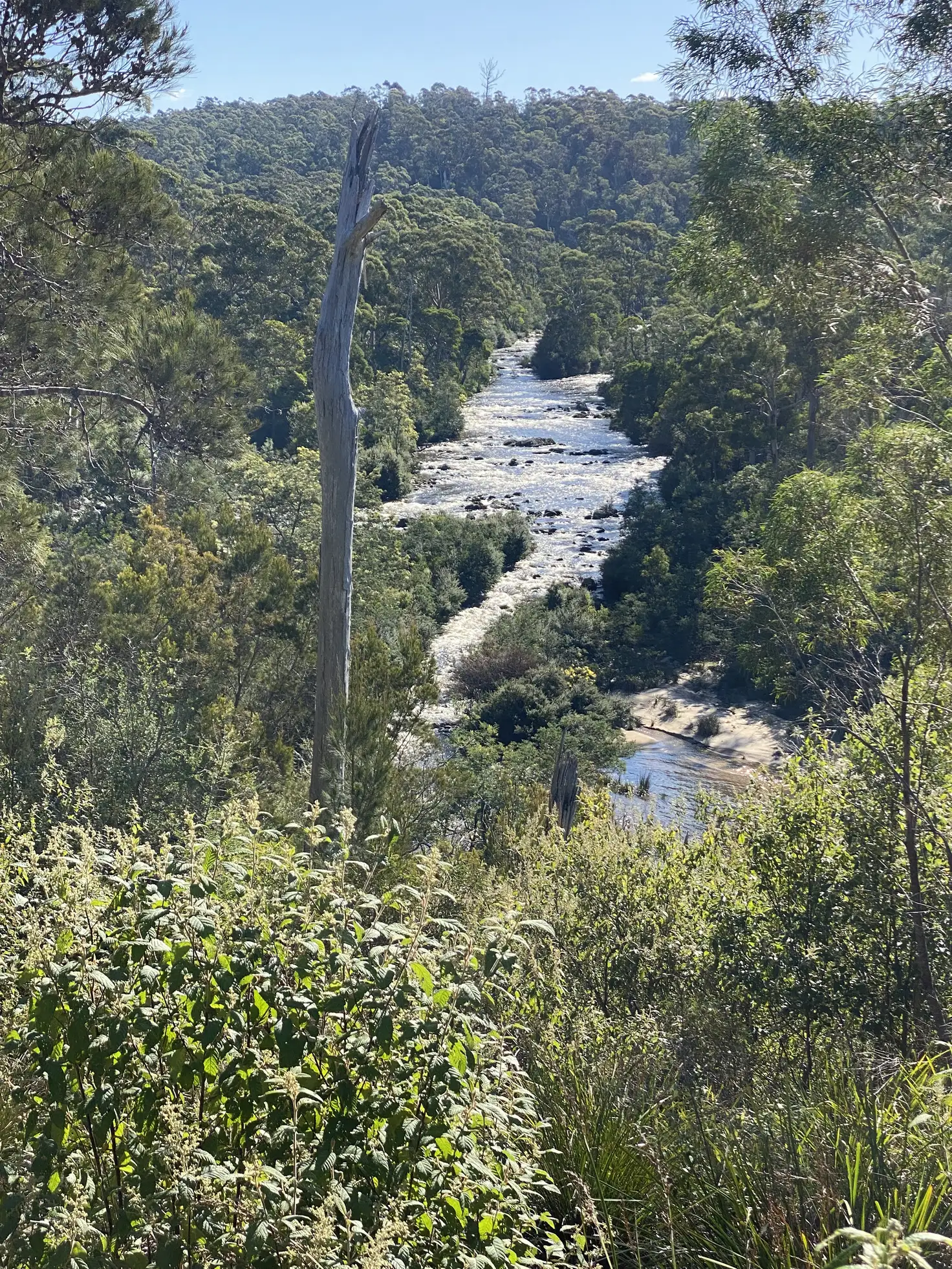 Main view of Homely land listing, 253 Canhams Road, St Helens TAS 7216