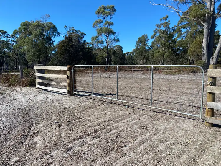 Fifth view of Homely land listing, 253 Canhams Road, St Helens TAS 7216