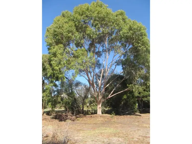 Second view of Homely land listing, 10 Gillespie Street, Tabilk VIC 3607
