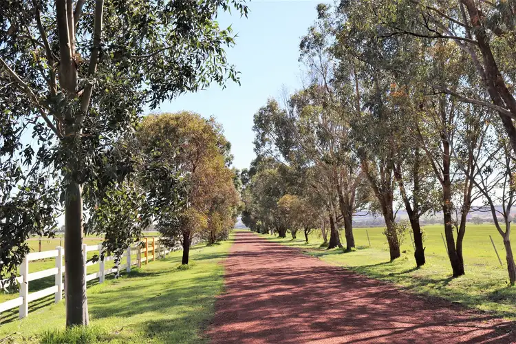 Sixth view of Homely rural property listing, 4761 Brand Highway, Beermullah WA 6503