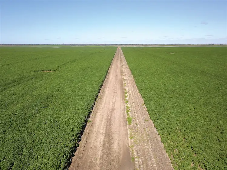 1414 Marlbone Road, Burren Junction NSW 2386