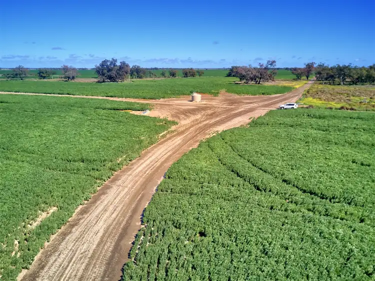 Third view of Homely rural property listing, 1414 Marlbone Road, Burren Junction NSW 2386