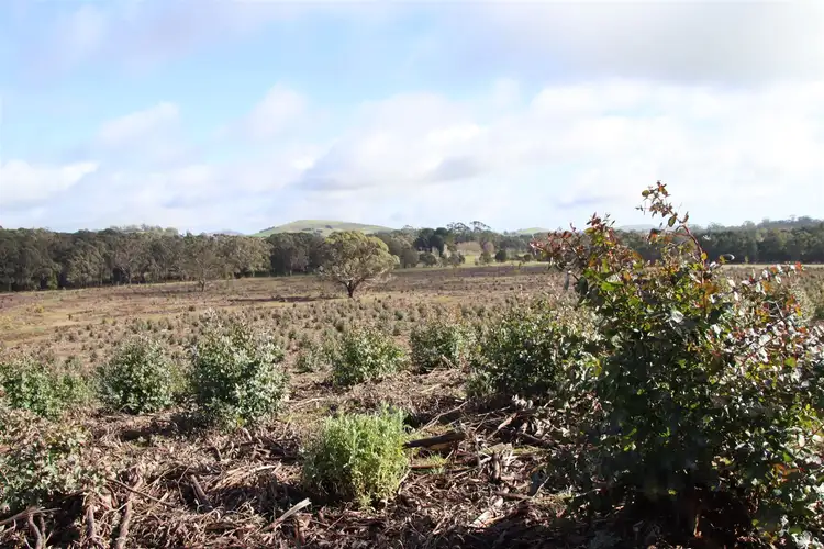 Third view of Homely rural property listing, 50 Government Road, Rocklyn VIC 3364