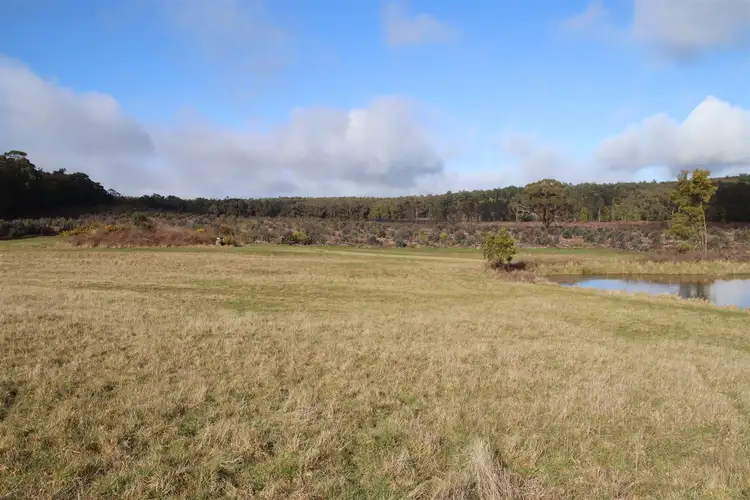 Fifth view of Homely rural property listing, 50 Government Road, Rocklyn VIC 3364