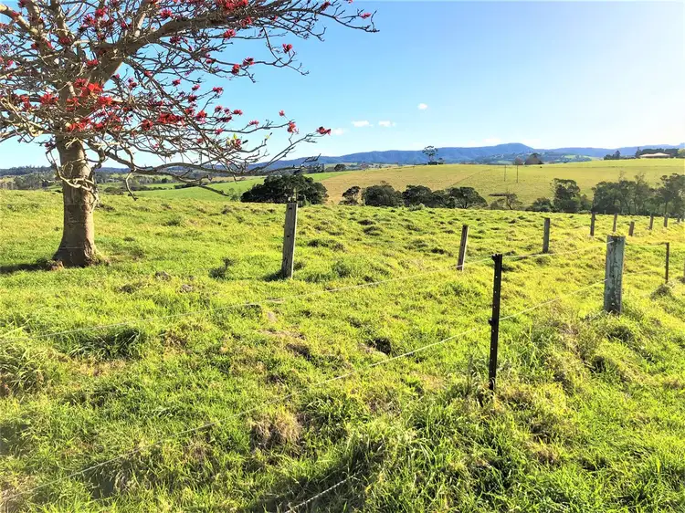 98 Wilfords Lane, Milton NSW 2538