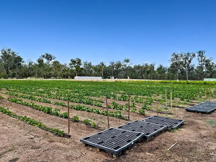 Third view of Homely rural property listing, 187 Arnolds Road, Tara QLD 4421