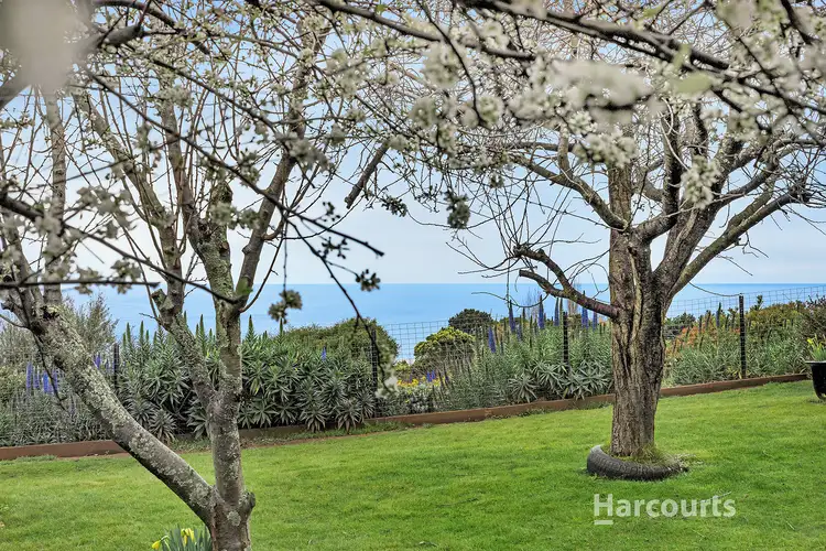 Third view of Homely house listing, 5 Barker Avenue, Penguin TAS 7316