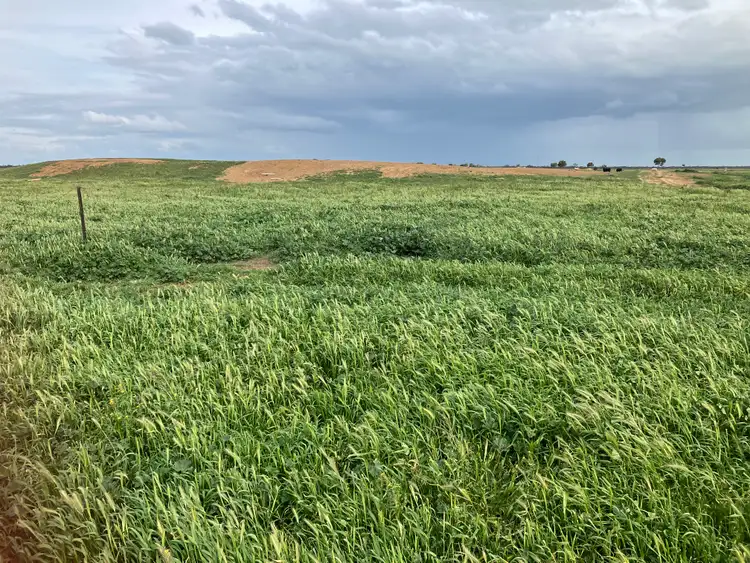 Third view of Homely rural property listing, 0 Lake Charm Quambatook Road, Bael Bael VIC 3579