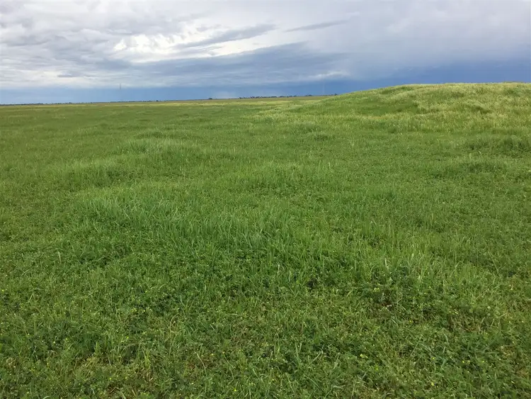 Sixth view of Homely rural property listing, 0 Lake Charm Quambatook Road, Bael Bael VIC 3579