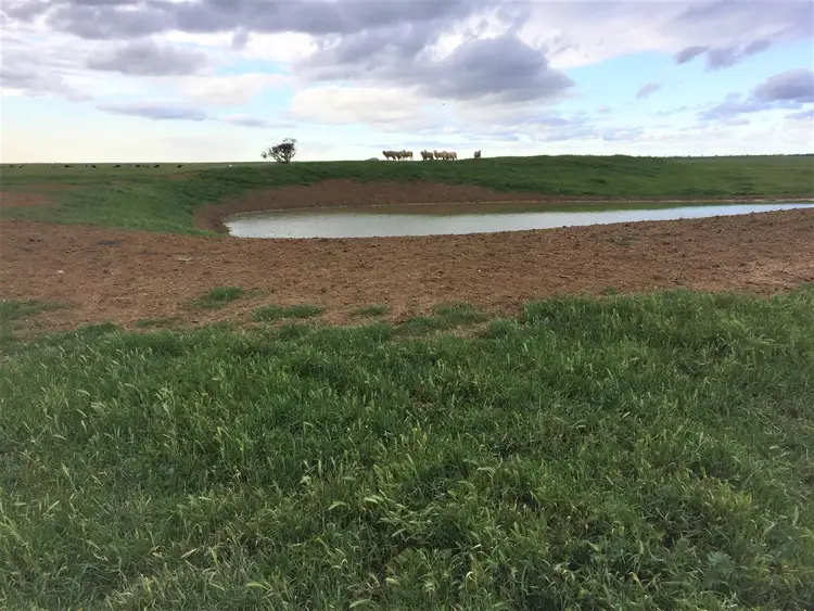 Seventh view of Homely rural property listing, 0 Lake Charm Quambatook Road, Bael Bael VIC 3579