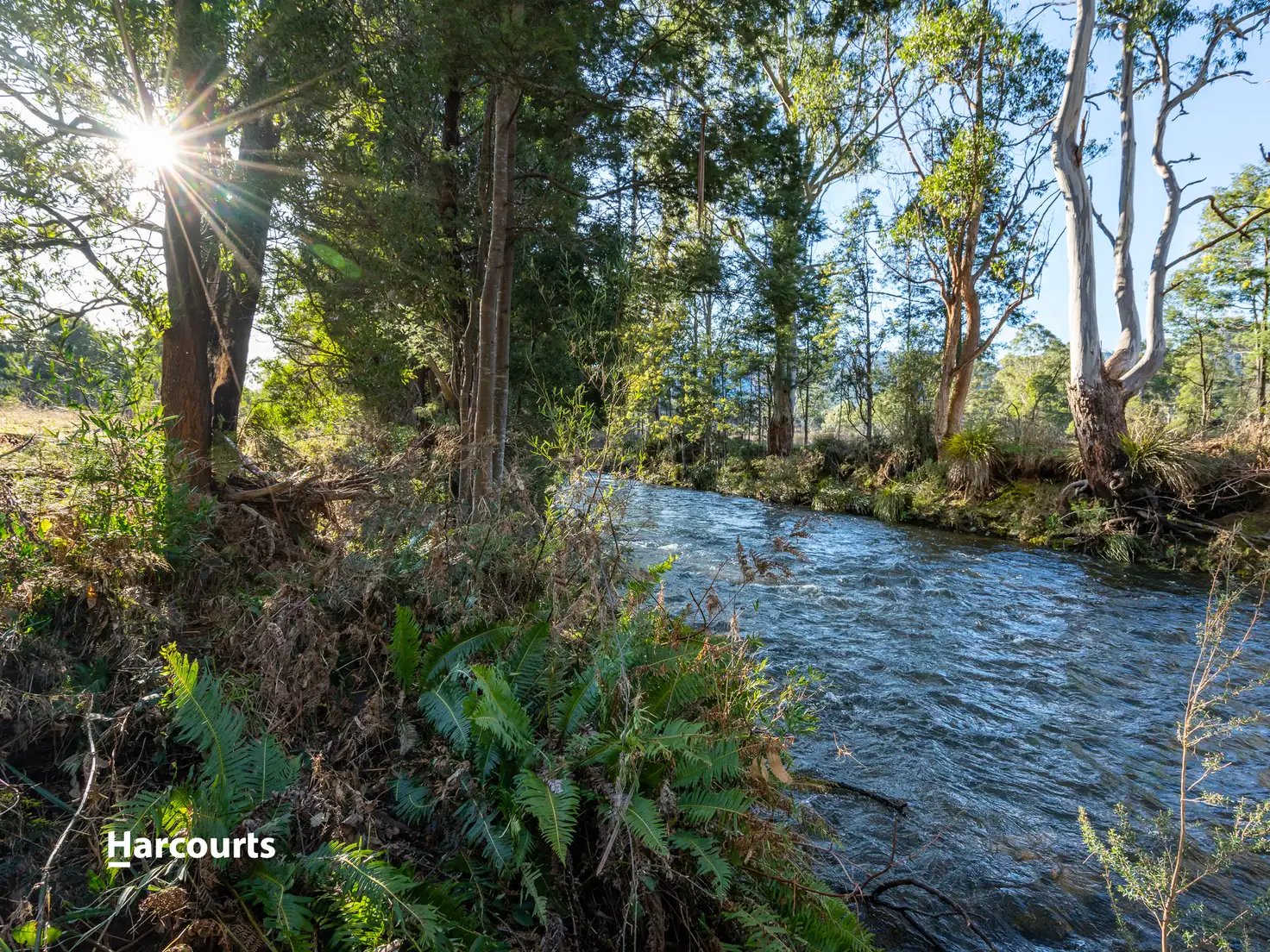 Main view of Homely land listing, 1089 Lonnavale Road, Lonnavale TAS 7109