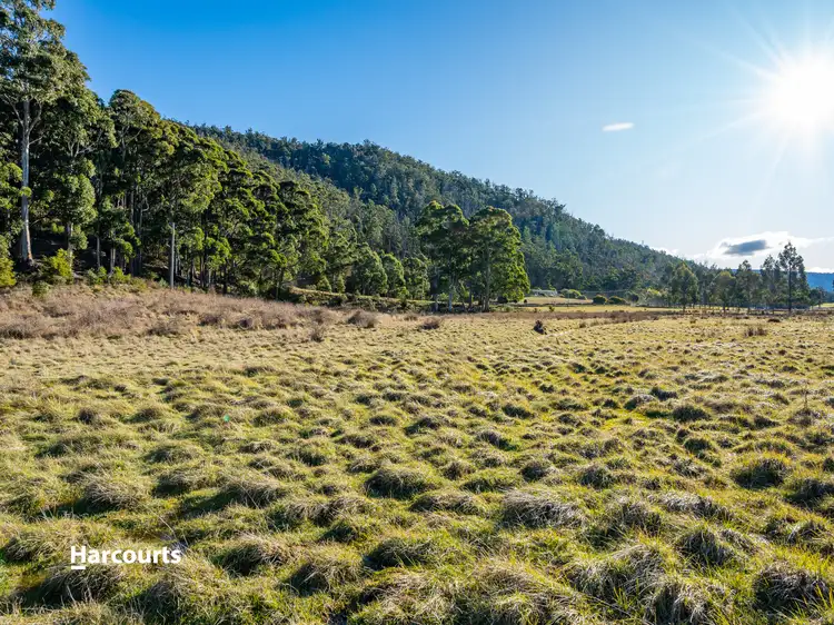 Second view of Homely land listing, 1089 Lonnavale Road, Lonnavale TAS 7109