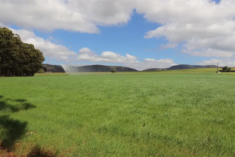 Second view of Homely rural property listing, 133 Griffin Road, Tolga QLD 4882