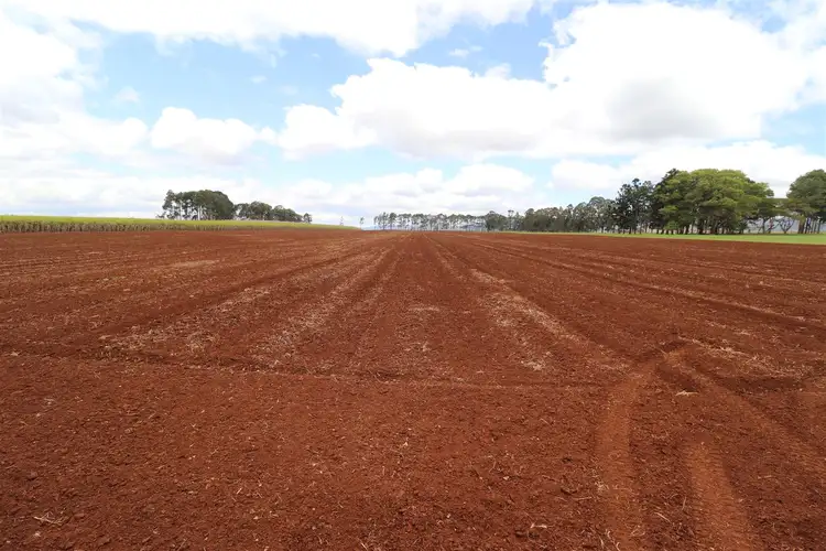 Third view of Homely rural property listing, 133 Griffin Road, Tolga QLD 4882
