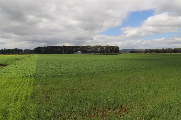Sixth view of Homely rural property listing, 133 Griffin Road, Tolga QLD 4882