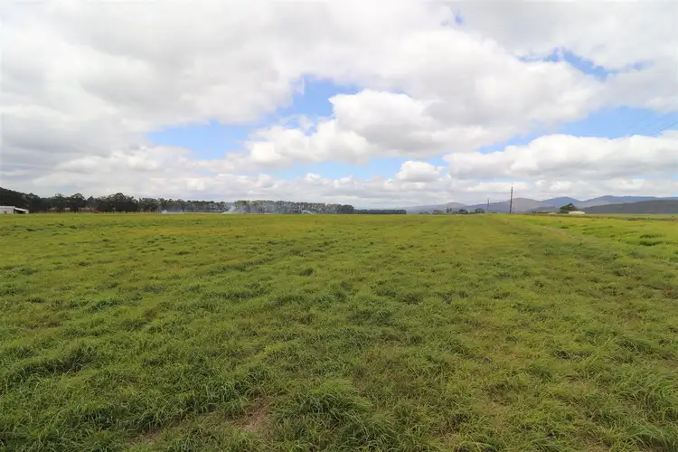Seventh view of Homely rural property listing, 133 Griffin Road, Tolga QLD 4882