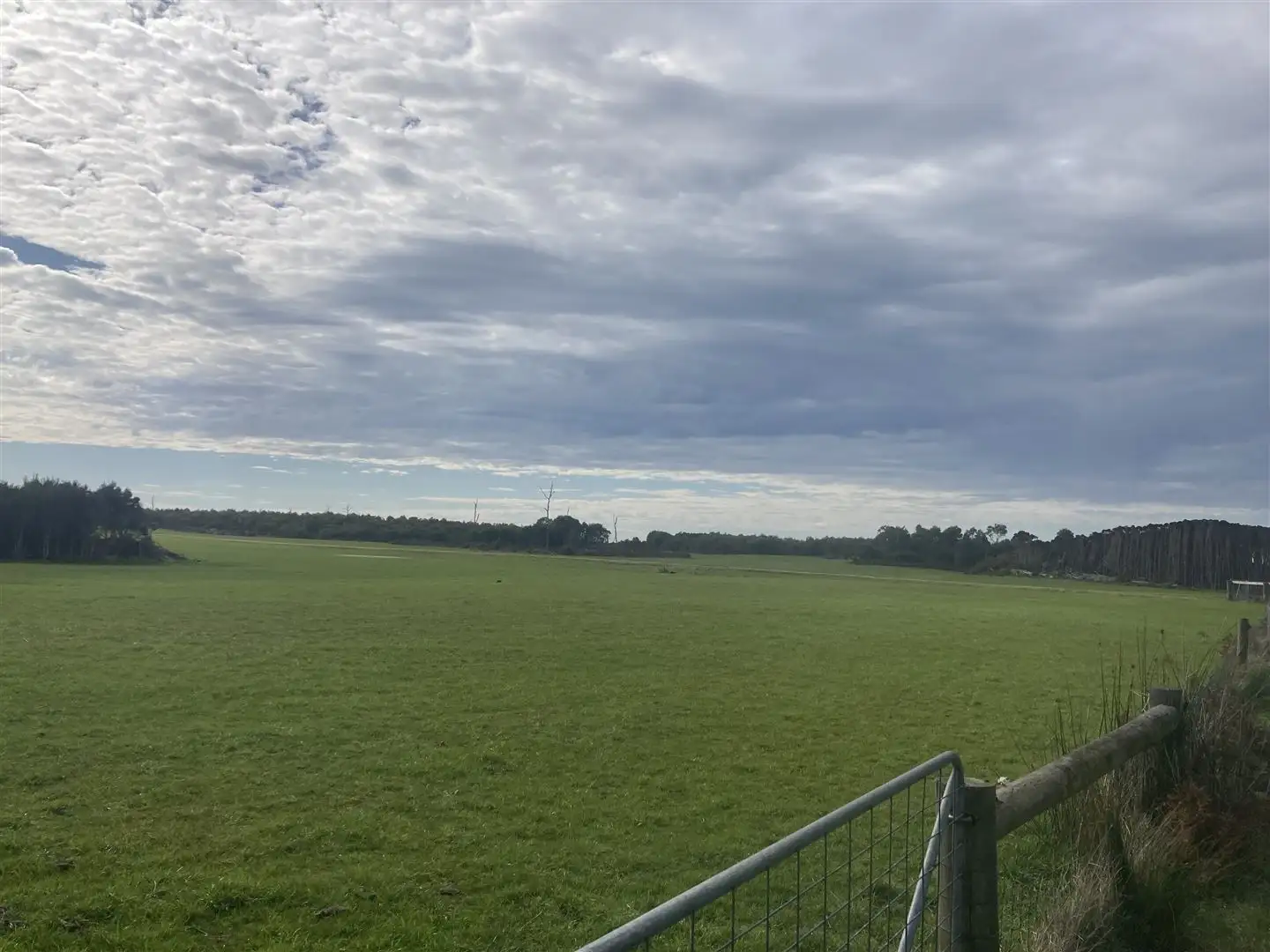 Main view of Homely rural property listing, . Youngs Road, Yambacoona TAS 7256