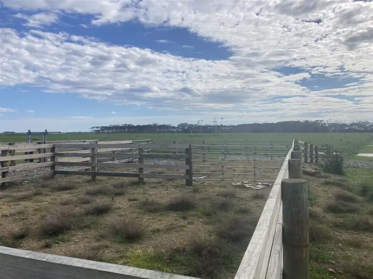 Second view of Homely rural property listing, . Youngs Road, Yambacoona TAS 7256