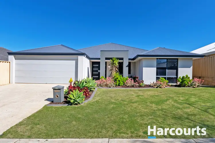 6 Wetherby Link, Butler WA 6036