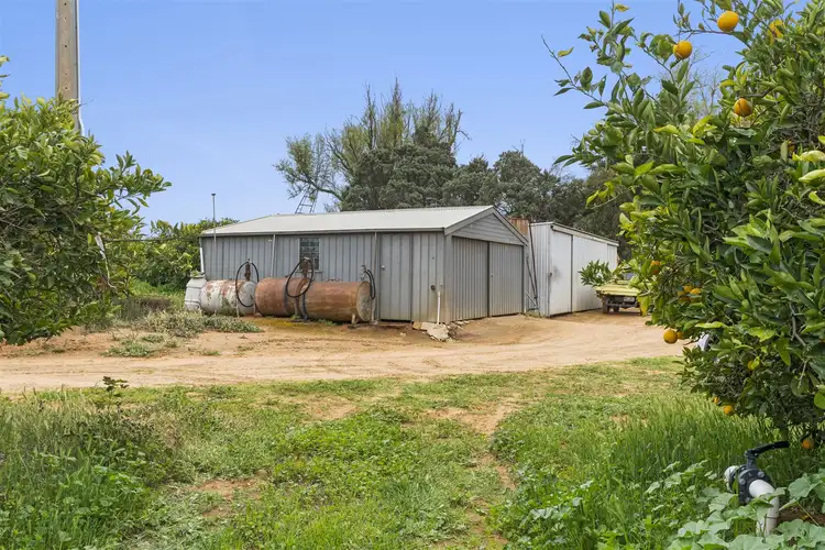 Third view of Homely rural property listing, 155 Tarcoola Street, Renmark SA 5341
