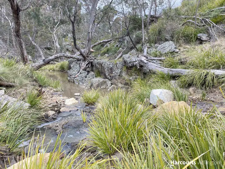 Third view of Homely rural property listing, 228 Alpha Road Tambaroora Hill End, Mudgee NSW 2850