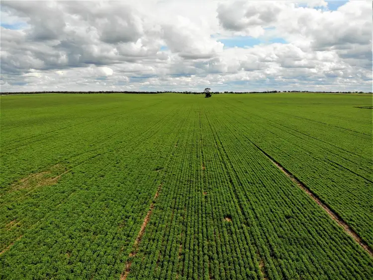 Main view of Homely rural property listing, . Mallee Highway, Ouyen VIC 3490
