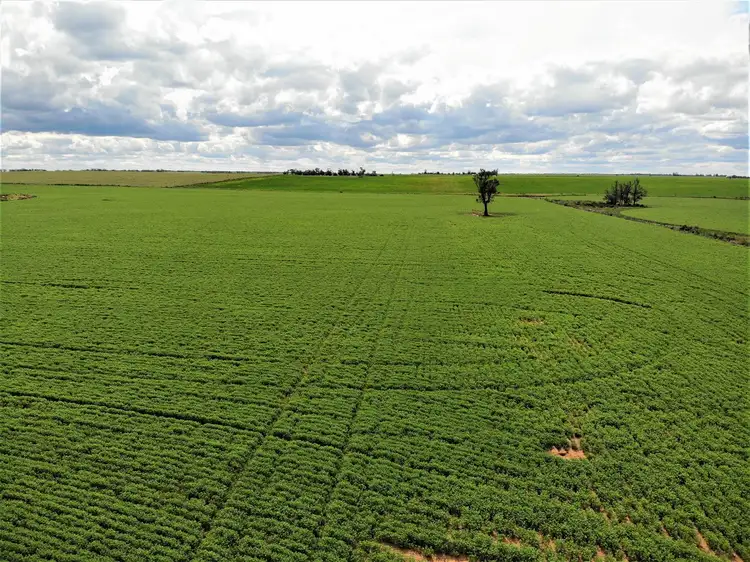 Fifth view of Homely rural property listing, . Mallee Highway, Ouyen VIC 3490