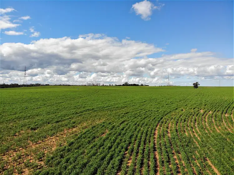 Sixth view of Homely rural property listing, . Mallee Highway, Ouyen VIC 3490