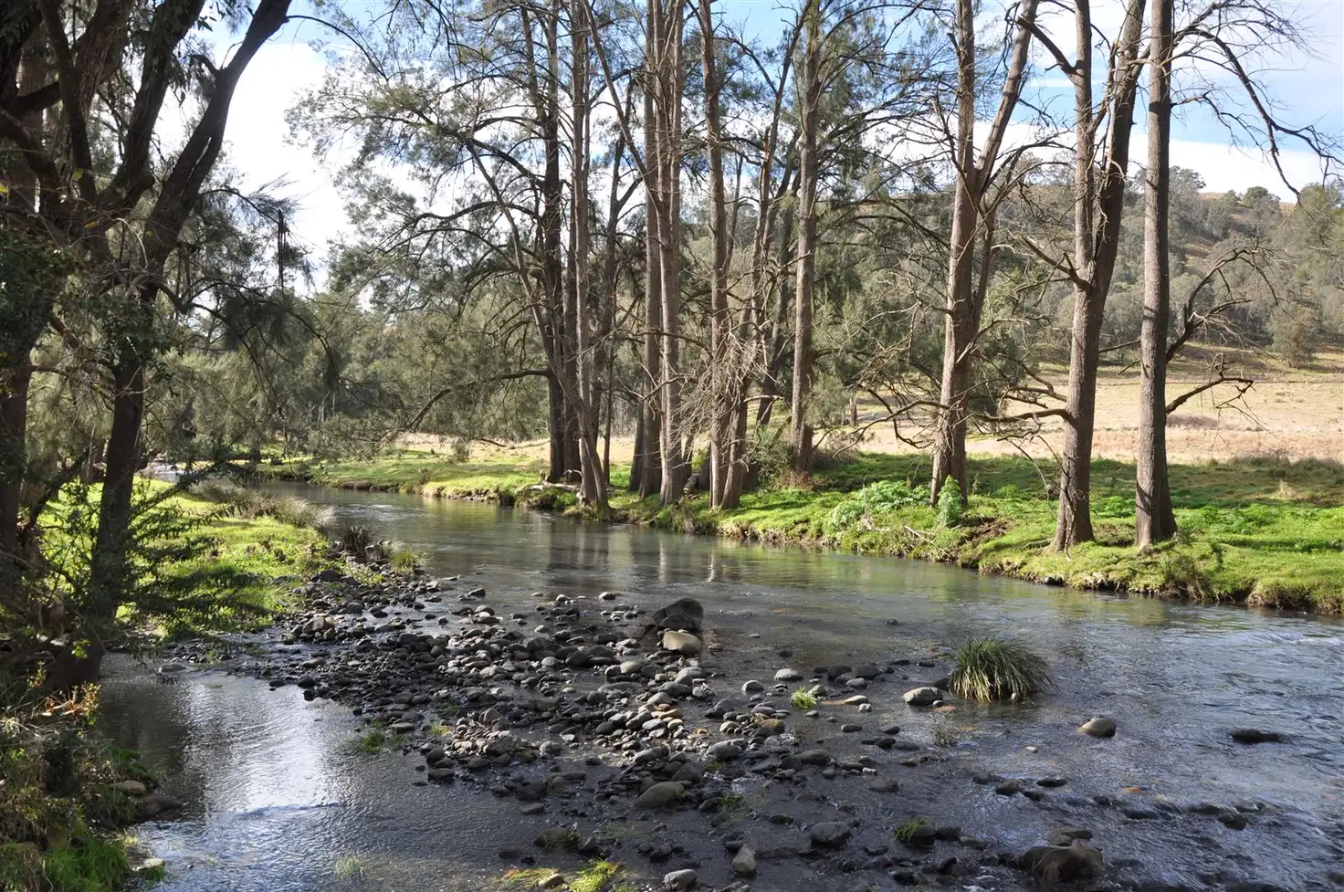 Main view of Homely rural property listing, 'Coomoologue' Stewarts Brook Rd, Stewarts Brook NSW 2337