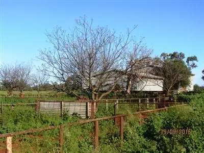 Seventh view of Homely rural property listing, * Darling Downs, Cobar NSW 2835