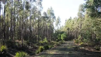 Main view of Homely rural property listing, 47.6ha Hodgetts Road, Rosevale TAS 7292