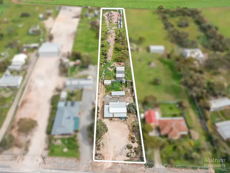 Main view of Homely house listing, 101 Maitland Road, Minlaton SA 5575