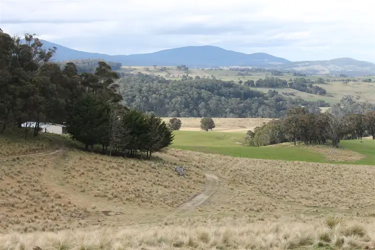 Main view of Homely rural property listing, 5403 Captains Flat Road, Braidwood NSW 2622