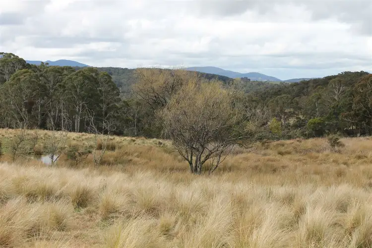 Second view of Homely rural property listing, 5403 Captains Flat Road, Braidwood NSW 2622