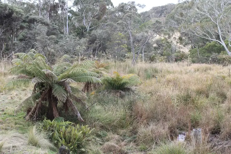 Sixth view of Homely rural property listing, 5403 Captains Flat Road, Braidwood NSW 2622