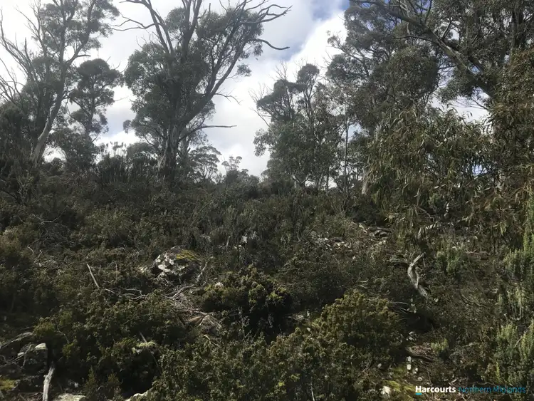 Sixth view of Homely land listing, 384 Tods Corner Road, Tods Corner TAS 7030