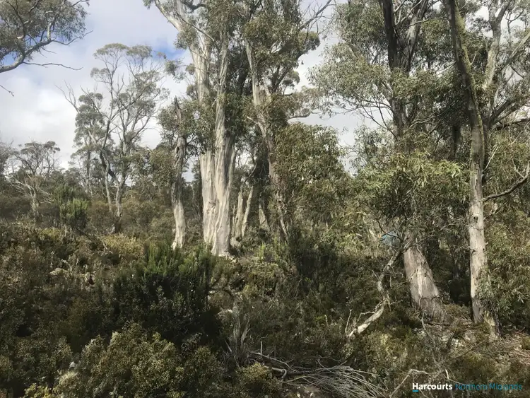 Seventh view of Homely land listing, 384 Tods Corner Road, Tods Corner TAS 7030