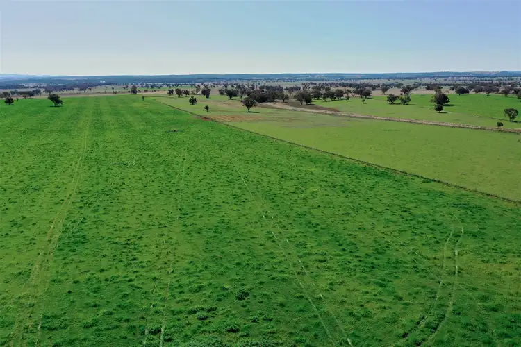 Main view of Homely rural property listing, 'Mingladon' 208 Warrumbungles Way, Coolah NSW 2843